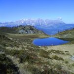 Paarseen 08102007 (1)